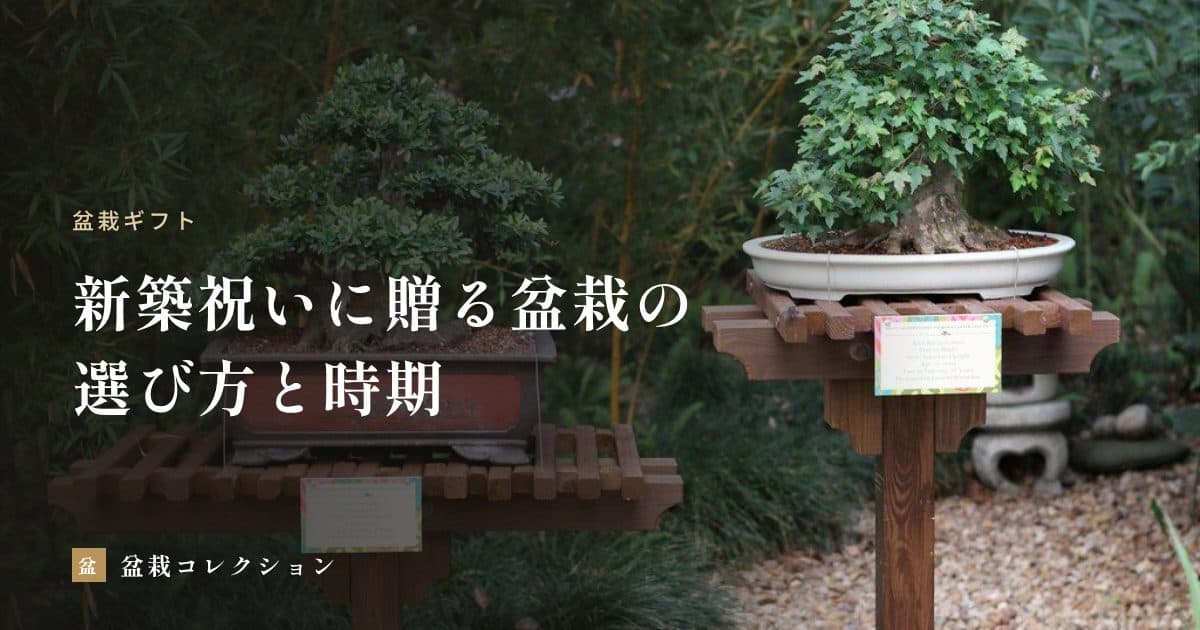 新築祝いに盆栽を贈るとき｜住まいに合う樹の選び方と、贈る時期・マナー