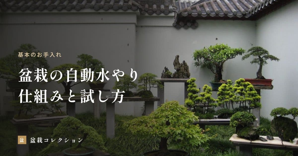 盆栽の自動水やり｜タイマー式・センサー式の仕組みと、留守の前の試し方
