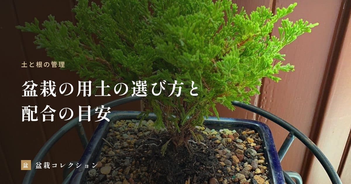 盆栽の用土の選び方｜赤玉土・鹿沼土などの性質と、樹種ごとの配合の目安