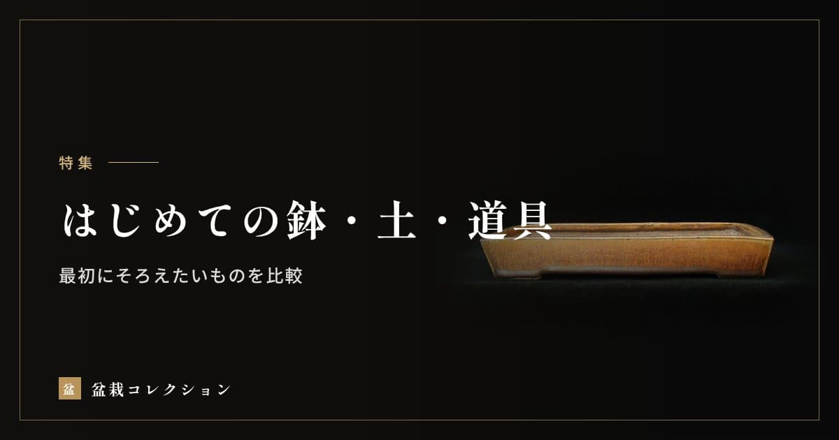 はじめての鉢・土・道具