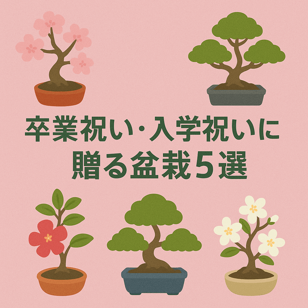【2025年版】卒業祝い・入学祝いに贈る盆栽5選|新たな門出を応援する成長と希望の特別なギフト