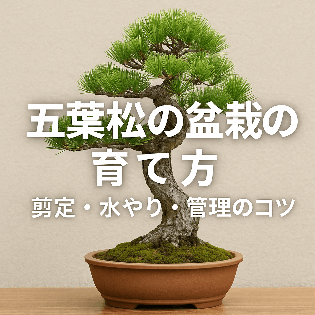 欅(ニレ)の盆栽ガイド|小さな巨樹を作る剪定テクニック【中級者向け】