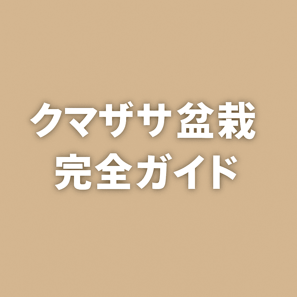 クマザサ盆栽完全ガイド|和の心を表現する上品な笹の魅力