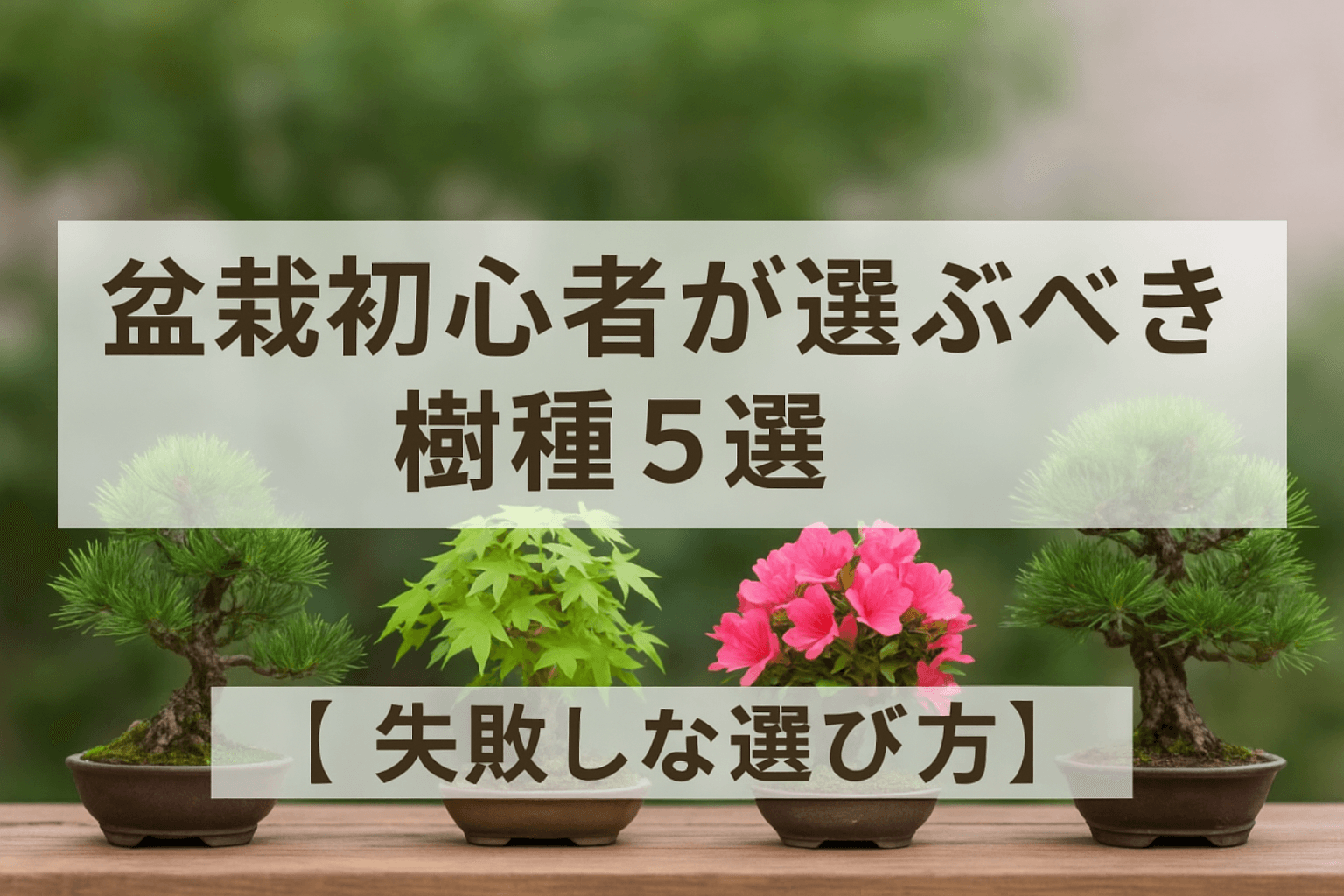 盆栽初心者が最初に選ぶべき樹種5選【失敗しない選び方】