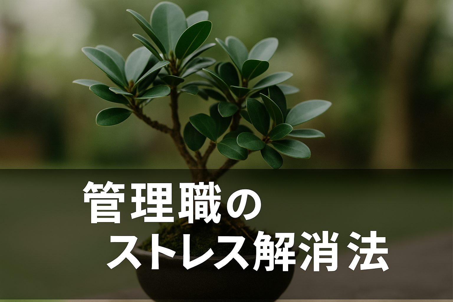 管理職のストレス解消法｜盆栽で見つけた心の平穏と部下指導のヒント