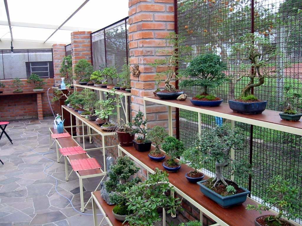 屋根のある場所で、2段の棚に間隔をあけて並べられた盆栽