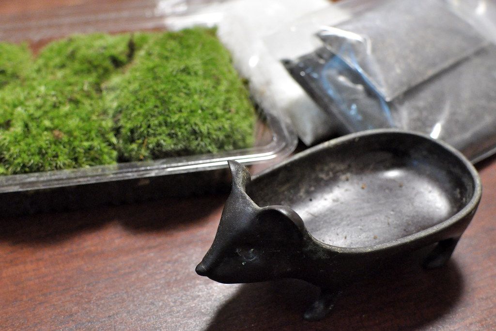 パックに入った苔と、小さな動物の形の鉢。苔や小物を組み合わせて小さな盆栽を作る